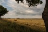 muensterland - (c) m mueller.jpg